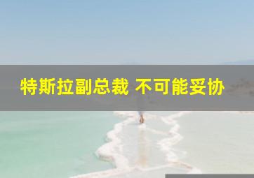 特斯拉副总裁 不可能妥协